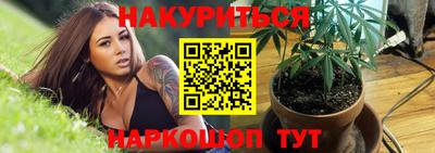 spice Моздок