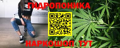 твердый Можга