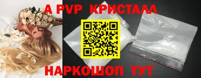 spice Моздок