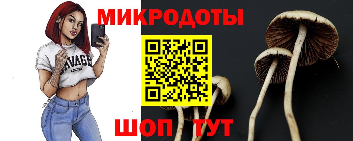 Галлюциногенные грибы прущие грибы Томск