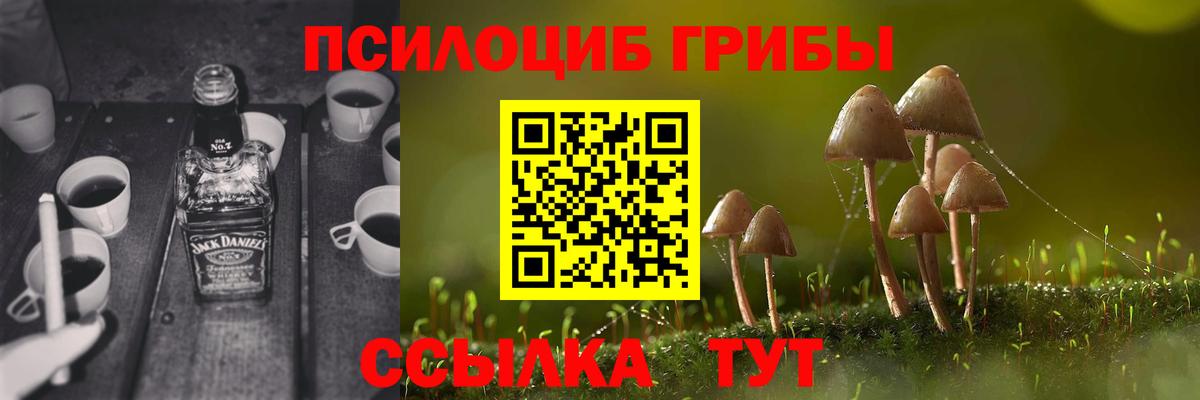 Псилоцибиновые грибы ЛСД  Вход с VPN  Томск 